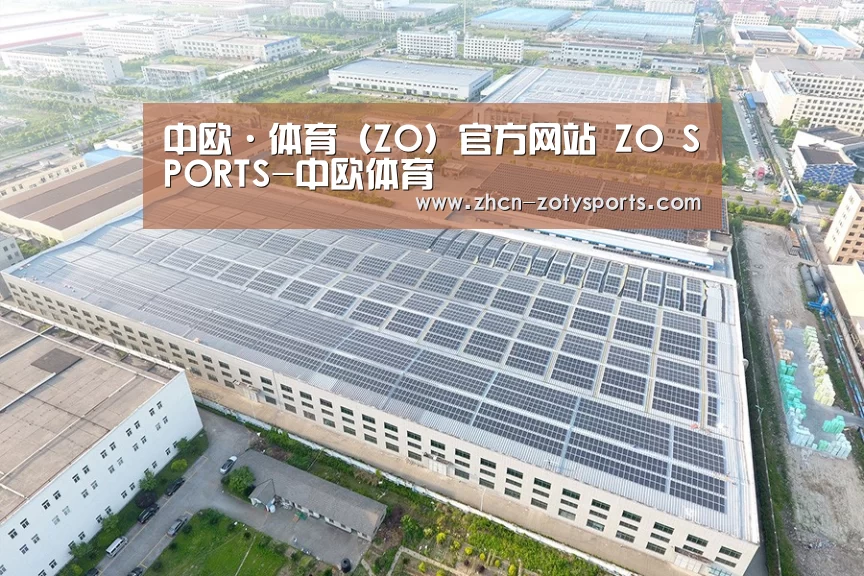 案例展示二
