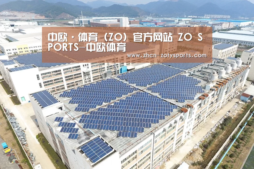 案例展示二