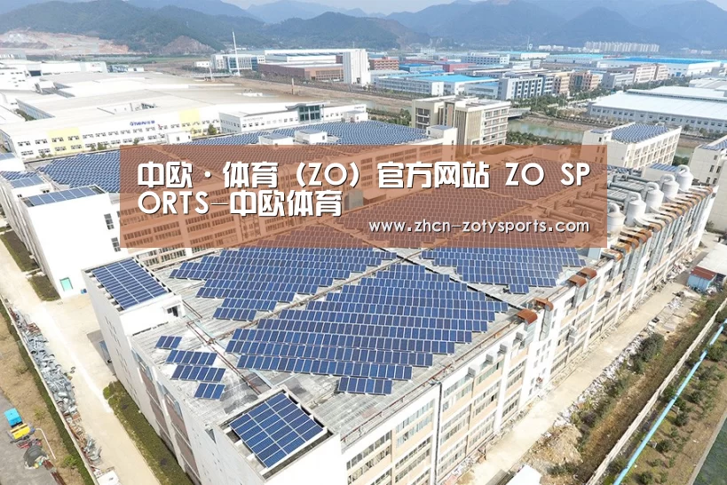 案例展示四