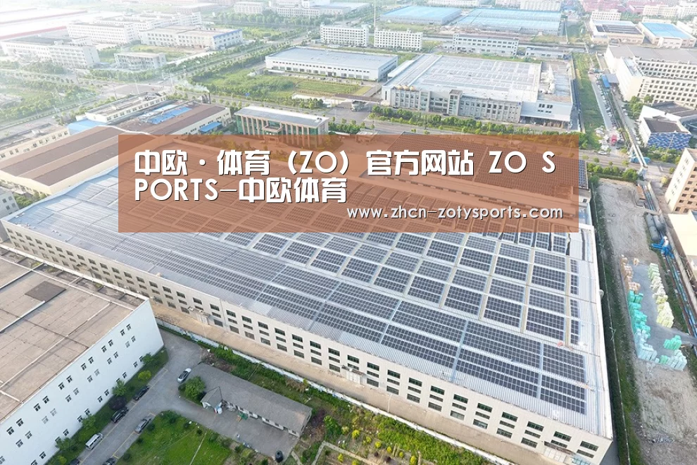 案例展示三