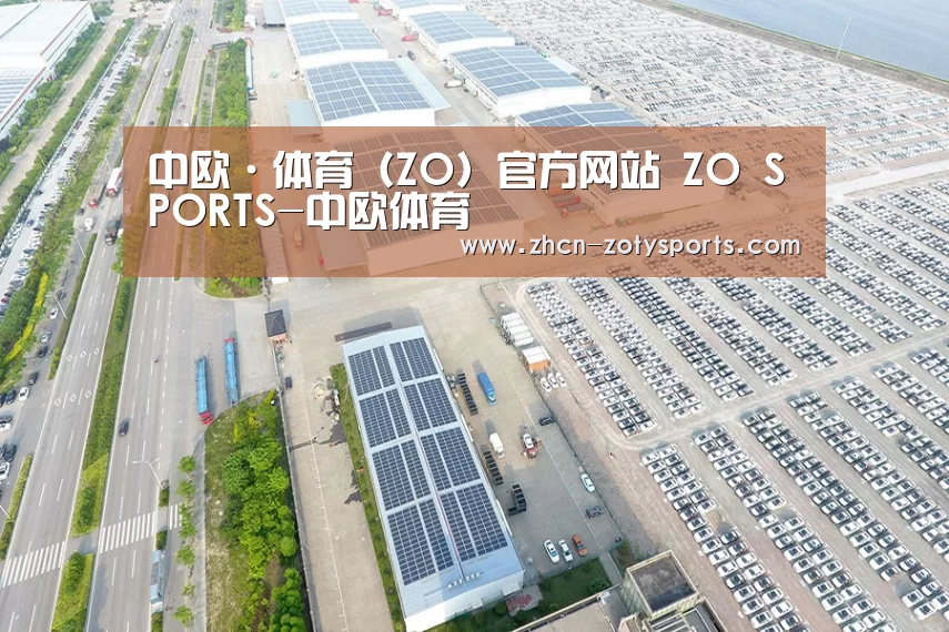 案例展示三