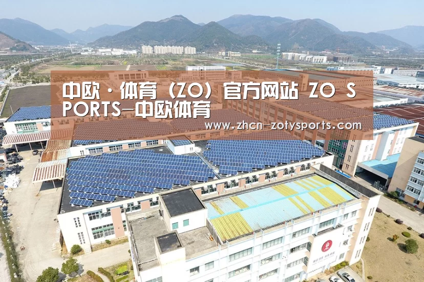 案例展示三