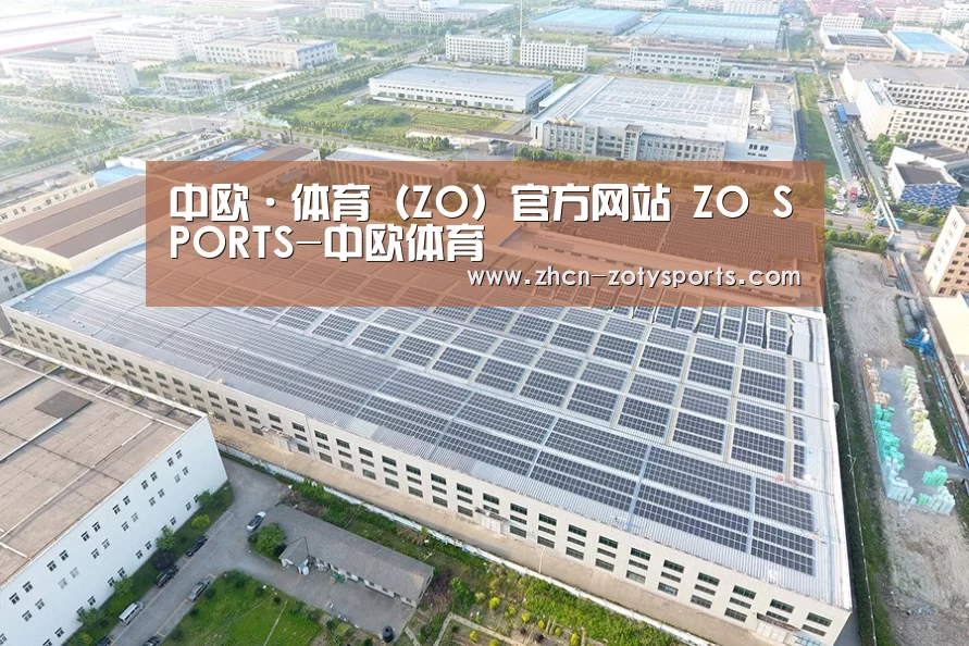 案例展示四