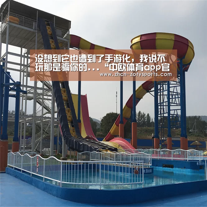 中欧体育官方网站最新版