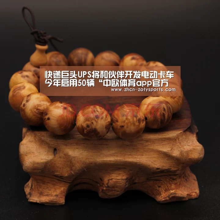 中欧体育官方网站下载