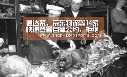 中欧体育官方网站最新版