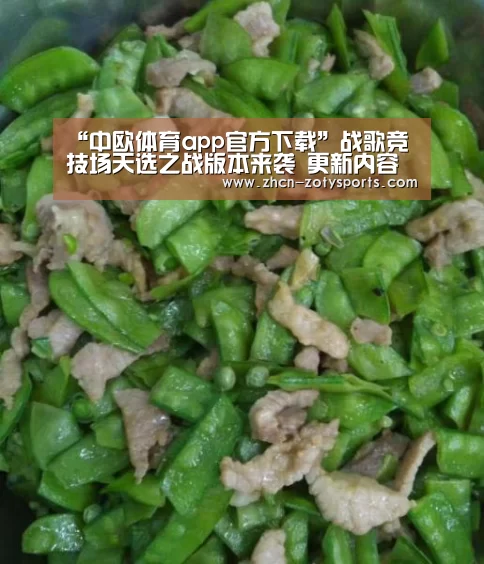 中欧体育app官方下载